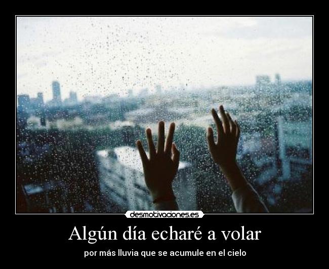 Algún día echaré a volar -
