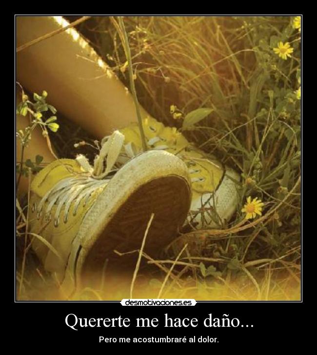Quererte me hace daño... - Pero me acostumbraré al dolor.
