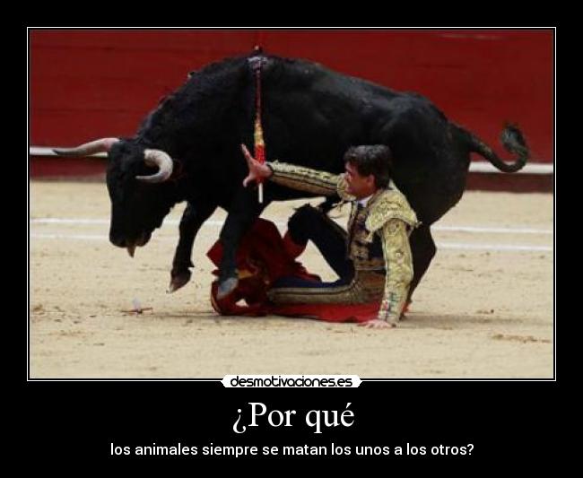 ¿Por qué - los animales siempre se matan los unos a los otros?