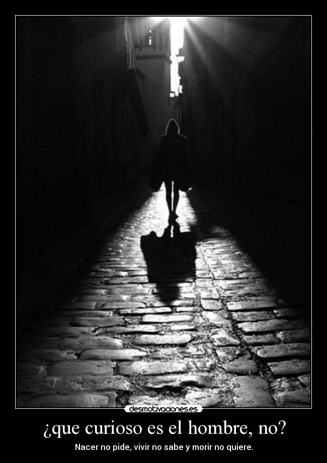 ¿que curioso es el hombre, no? - Nacer no pide, vivir no sabe y morir no quiere.