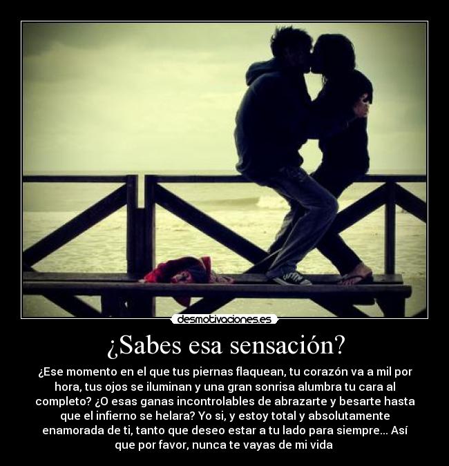 ¿Sabes esa sensación? - ¿Ese momento en el que tus piernas flaquean, tu corazón va a mil por
hora, tus ojos se iluminan y una gran sonrisa alumbra tu cara al
completo? ¿O esas ganas incontrolables de abrazarte y besarte hasta
que el infierno se helara? Yo si, y estoy total y absolutamente
enamorada de ti, tanto que deseo estar a tu lado para siempre... Así
que por favor, nunca te vayas de mi vida ♥