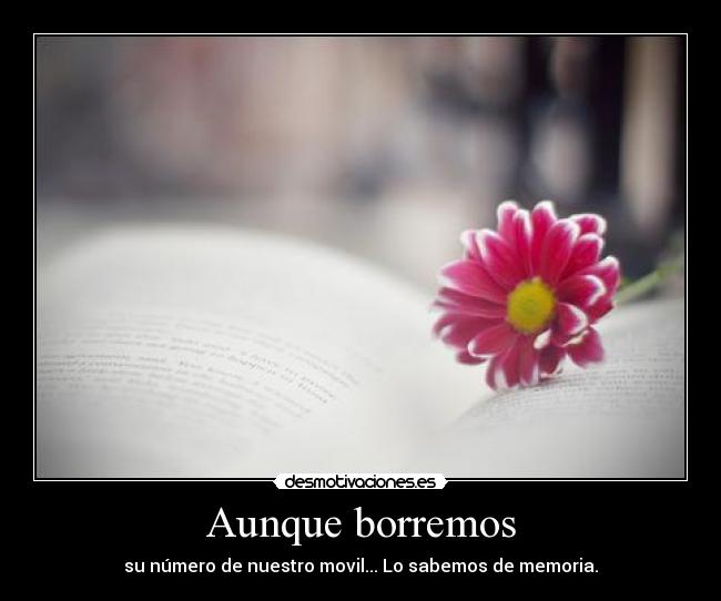 Aunque borremos - su número de nuestro movil... Lo sabemos de memoria.