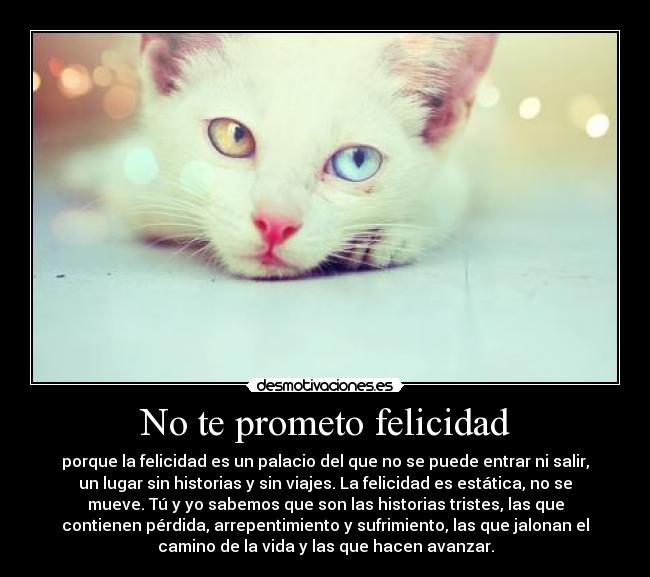 No te prometo felicidad - porque la felicidad es un palacio del que no se puede entrar ni salir,
un lugar sin historias y sin viajes. La felicidad es estática, no se
mueve. Tú y yo sabemos que son las historias tristes, las que
contienen pérdida, arrepentimiento y sufrimiento, las que jalonan el
camino de la vida y las que hacen avanzar.