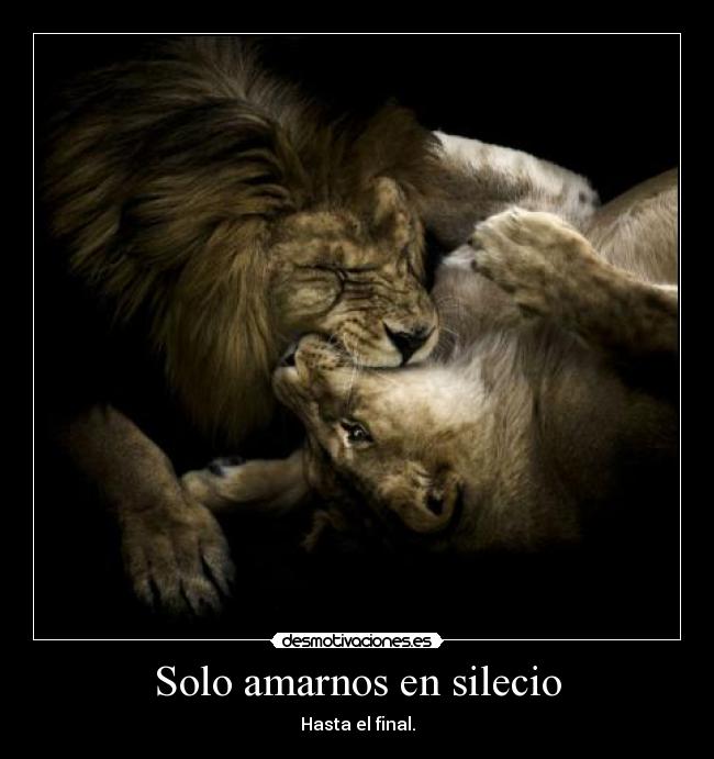 Solo amarnos en silecio -