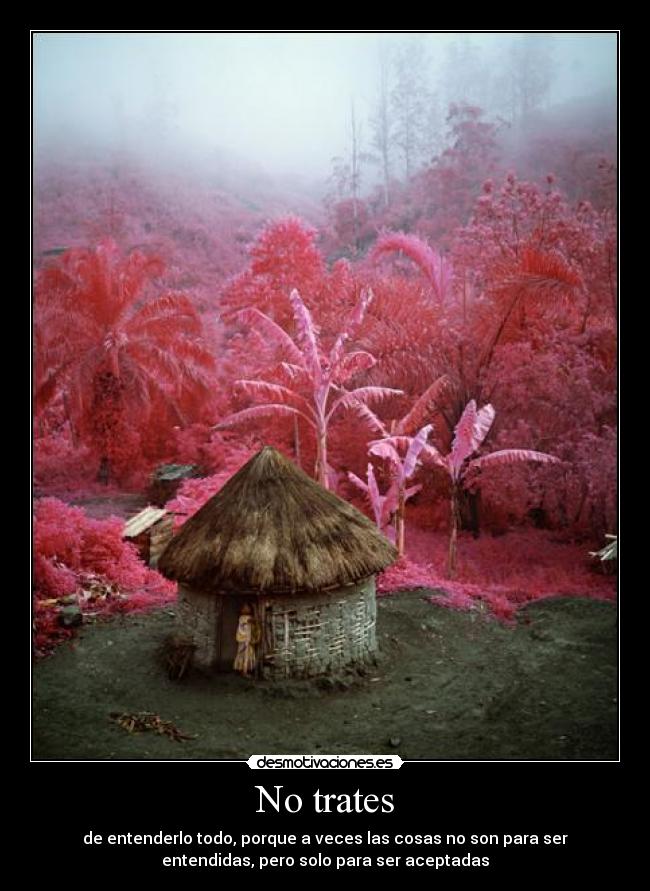 No trates - de entenderlo todo, porque a veces las cosas no son para ser
entendidas, pero solo para ser aceptadas