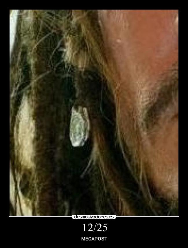 carteles rogertuba clanvirus clanviral elclanviral como mola merece una ola bollicao hoygan votame poco desmotivaciones