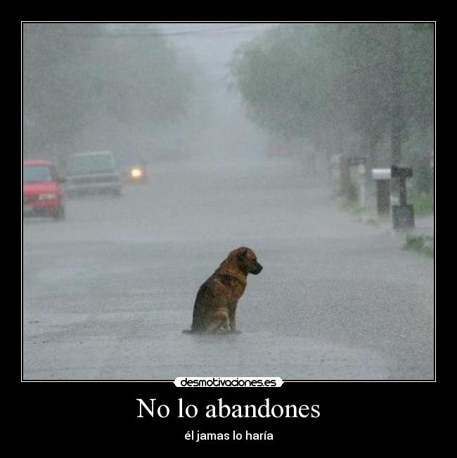 No lo abandones - él jamas lo haría