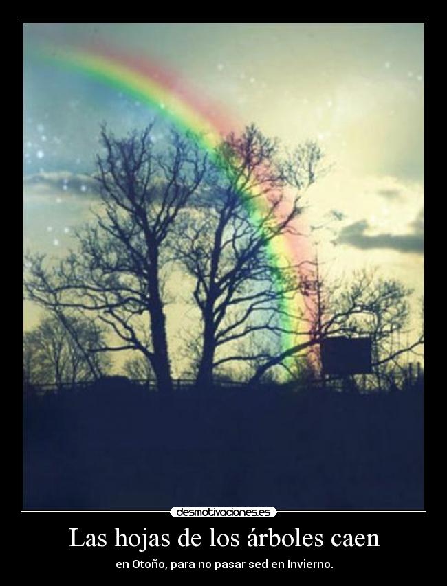 Las hojas de los árboles caen - 