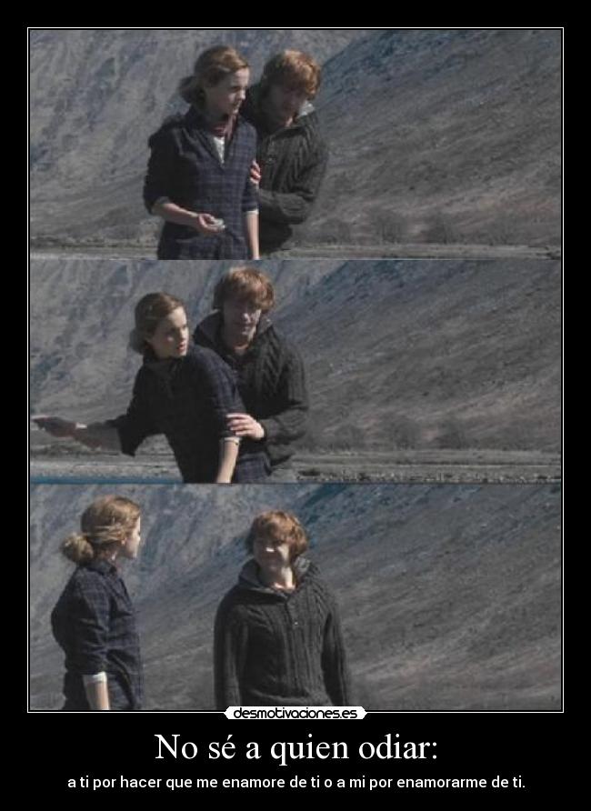 carteles harry potter por fin desmotivaciones