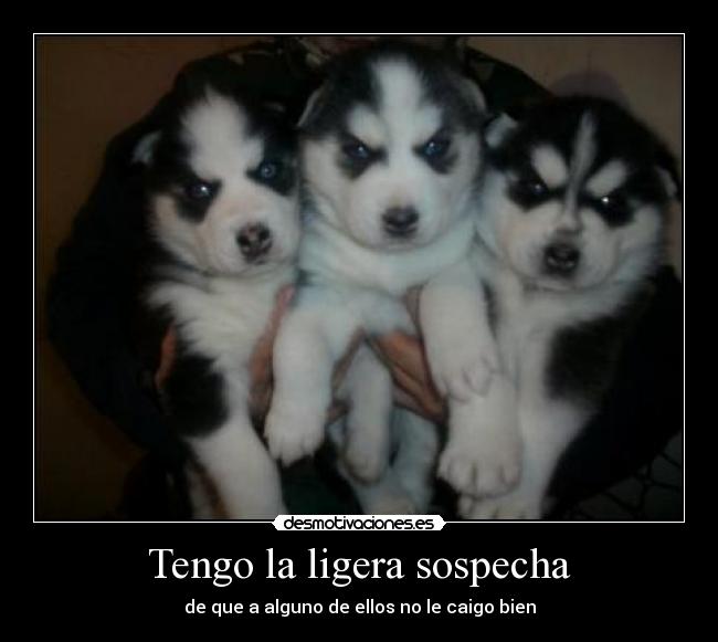 Tengo la ligera sospecha -