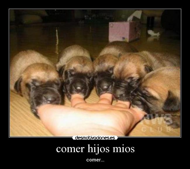 comer hijos mios - comer...