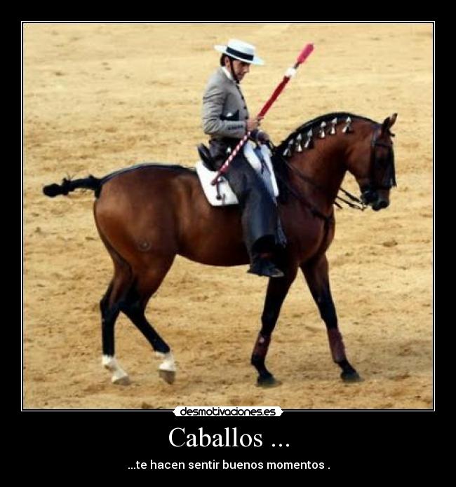 carteles jwerdovinebvinjder desmotivaciones