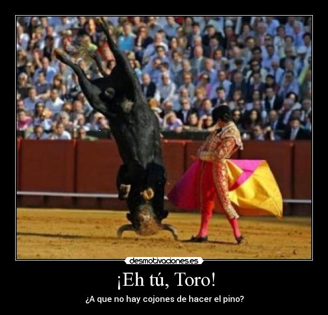 ¡Eh tú, Toro! - 