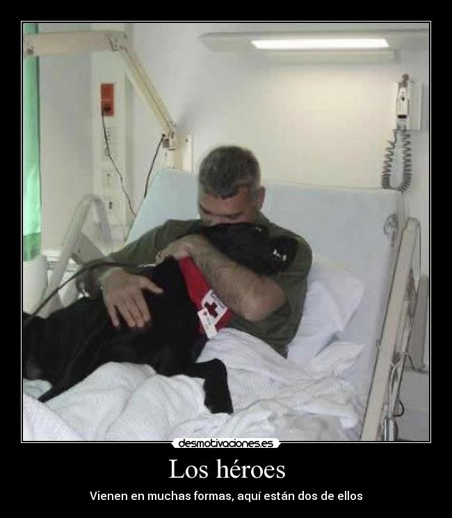 Los héroes - Vienen en muchas formas, aquí están dos de ellos