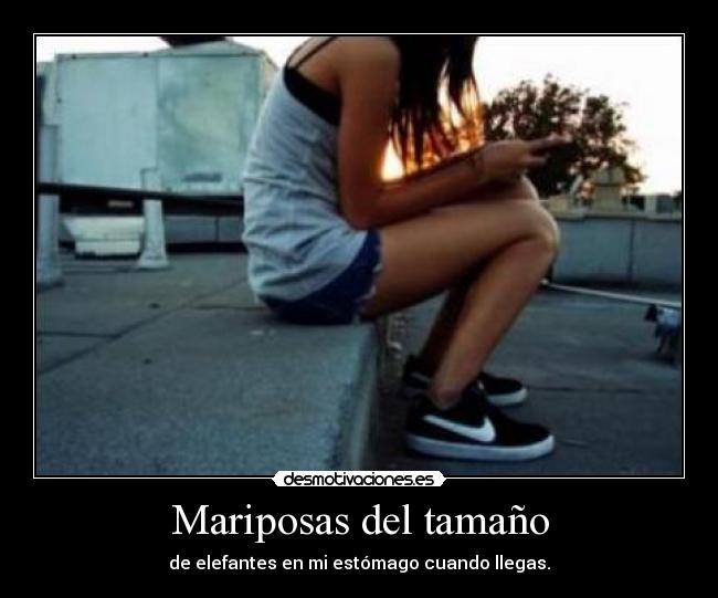 Mariposas del tamaño -