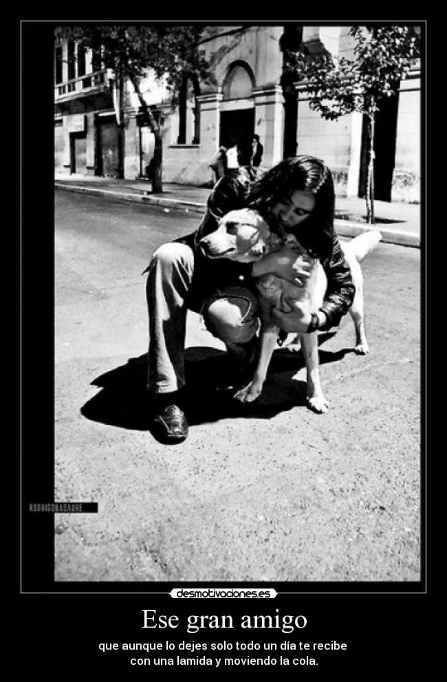 Ese gran amigo - que aunque lo dejes solo todo un día te recibe
con una lamida y moviendo la cola.