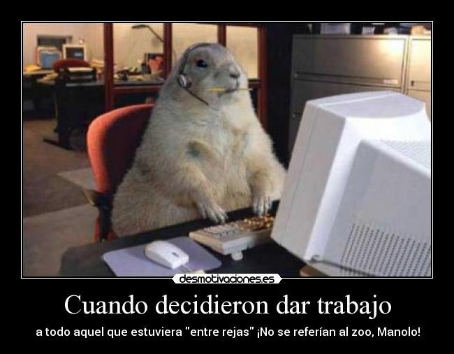 Cuando decidieron dar trabajo - a todo aquel que estuviera entre rejas ¡No se referían al zoo, Manolo!