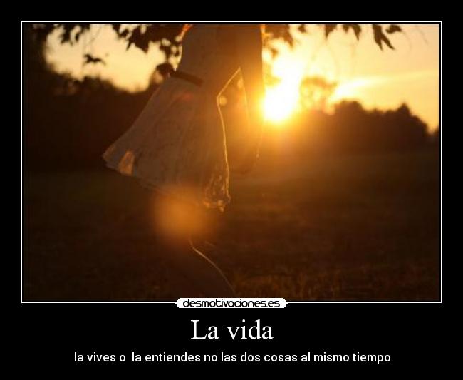 La vida - la vives o la entiendes no las dos cosas al mismo tiempo
