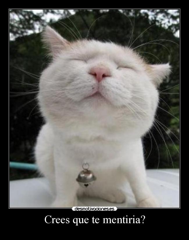 Crees que te mentiria? -