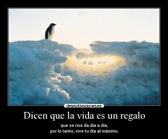Dicen que la vida es un regalo - que se nos da día a día,
por lo tanto, vive tu día al máximo.