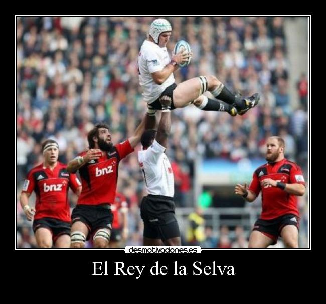 El Rey de la Selva - 