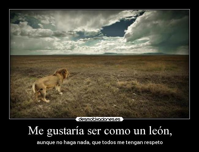 Me gustaría ser como un león, - aunque no haga nada, que todos me tengan respeto