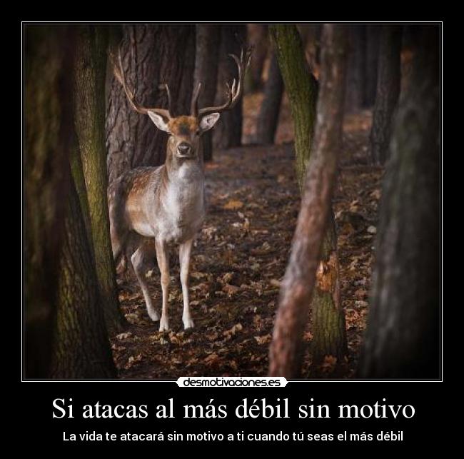 Si atacas al más débil sin motivo - La vida te atacará sin motivo a ti cuando tú seas el más débil