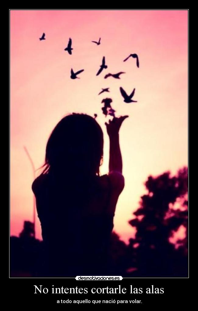 No intentes cortarle las alas -