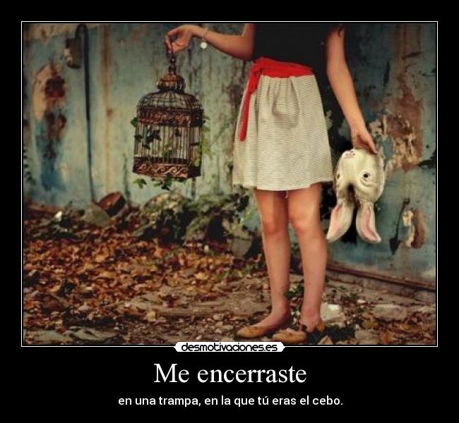 Me encerraste - en una trampa, en la que tú eras el cebo.