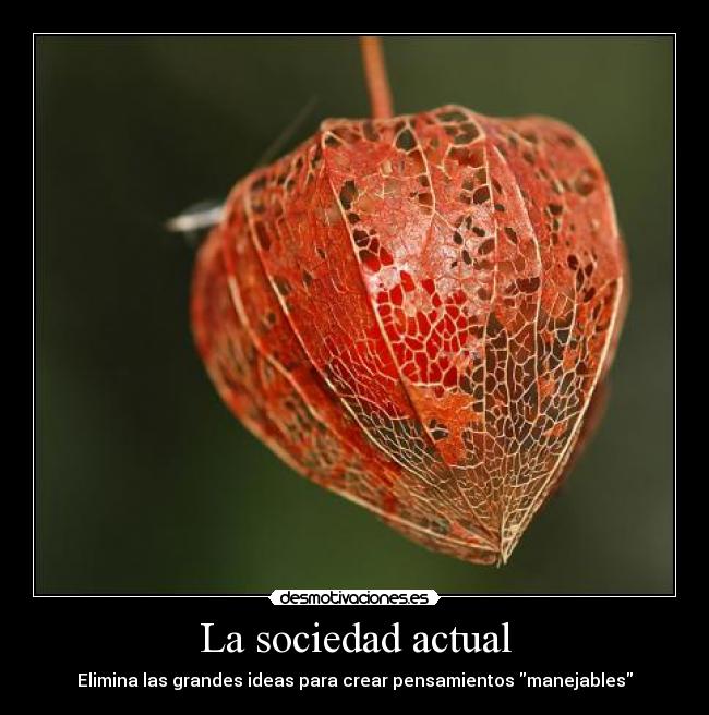 La sociedad actual - Elimina las grandes ideas para crear pensamientos manejables