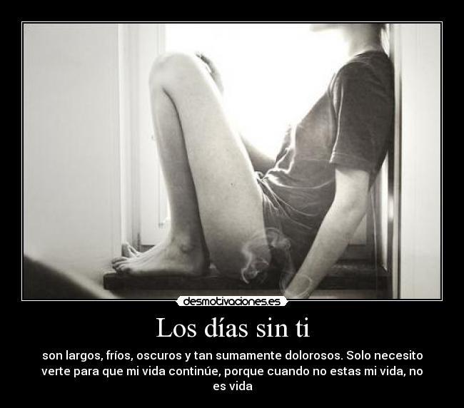 Los días sin ti -