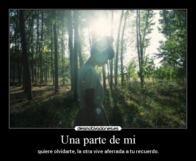 Una parte de mi - quiere olvidarte, la otra vive aferrada a tu recuerdo.