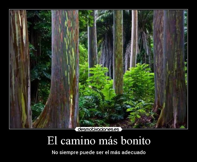 El camino más bonito - No siempre puede ser el más adecuado