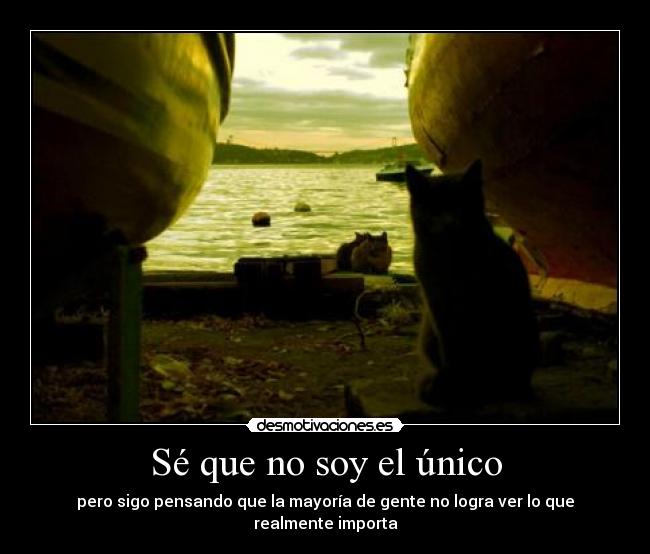 Sé que no soy el único -