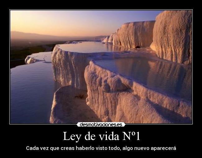 Ley de vida Nº1 - 