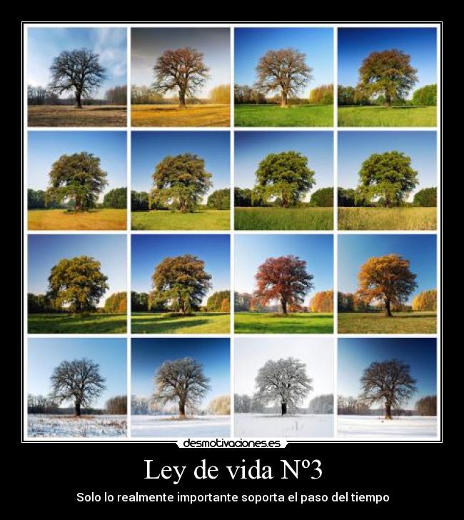 Ley de vida Nº3 - Solo lo realmente importante soporta el paso del tiempo