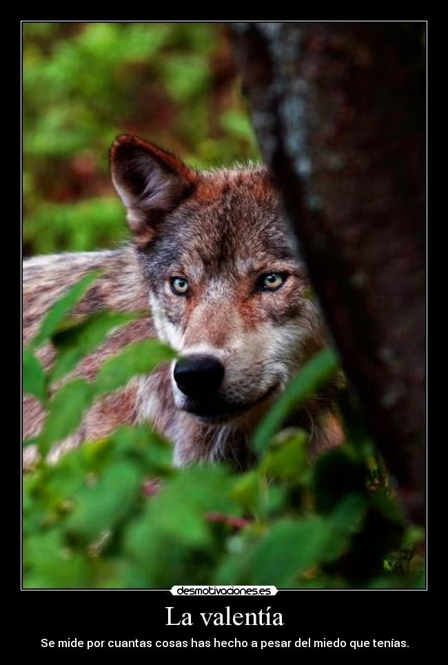 La valentía - Se mide por cuantas cosas has hecho a pesar del miedo que tenías.