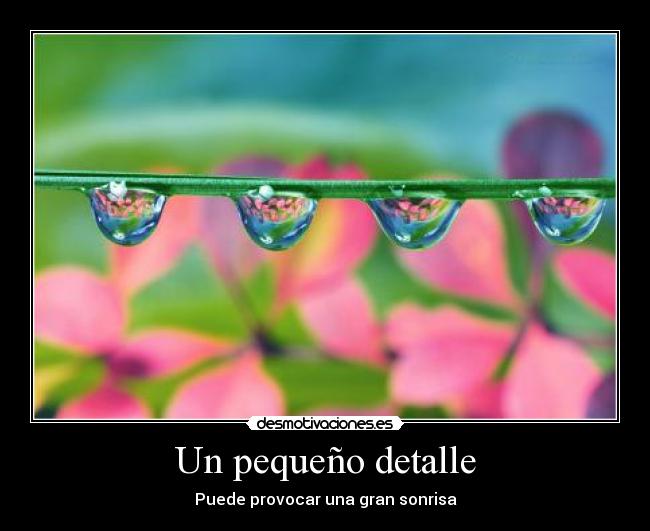 Un pequeño detalle - Puede provocar una gran sonrisa