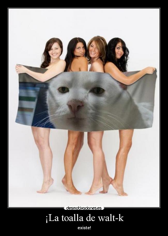 ¡La toalla de walt-k -