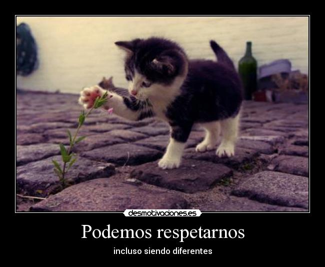 Podemos respetarnos -