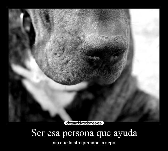 Ser esa persona que ayuda -