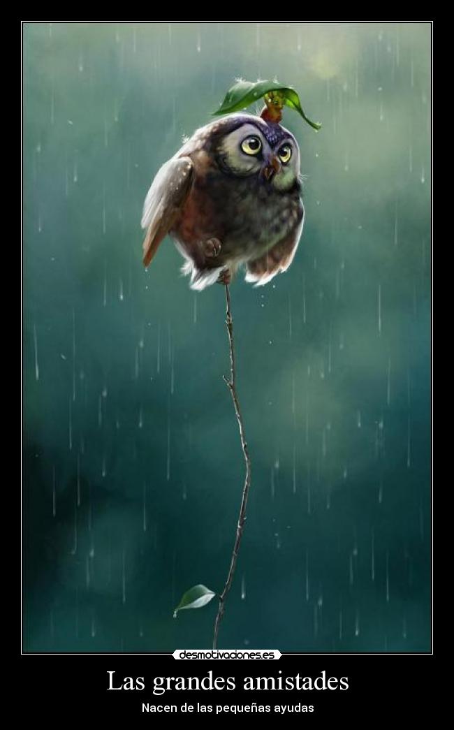 Las grandes amistades - Nacen de las pequeñas ayudas