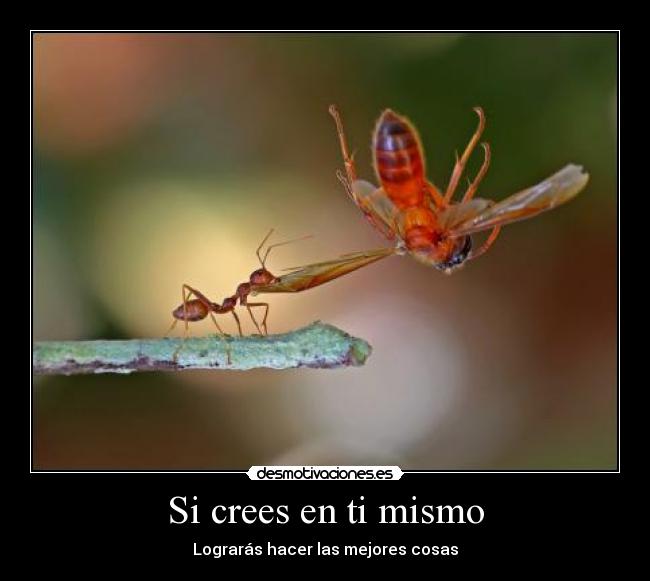 Si crees en ti mismo - Lograrás hacer las mejores cosas