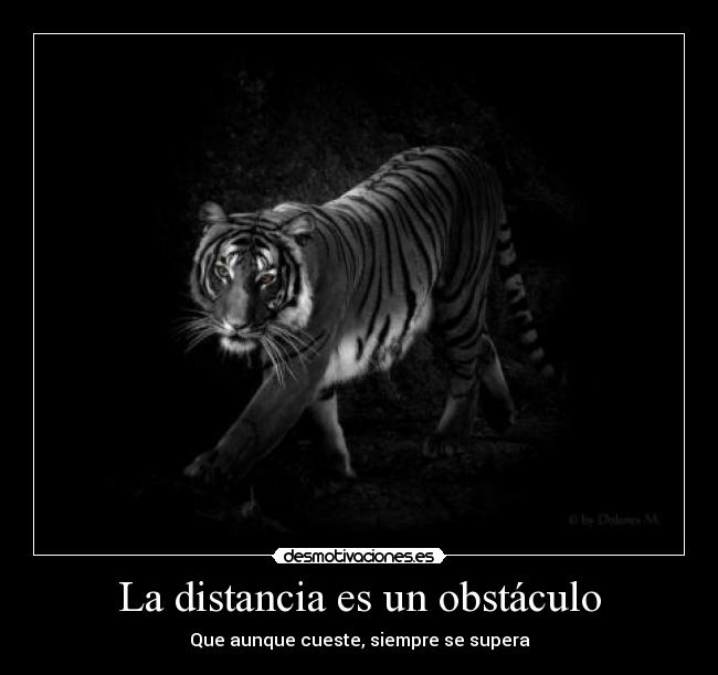 La distancia es un obstáculo - Que aunque cueste, siempre se supera