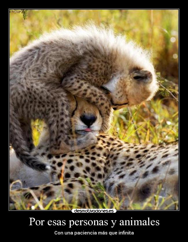 Por esas personas y animales - Con una paciencia más que infinita