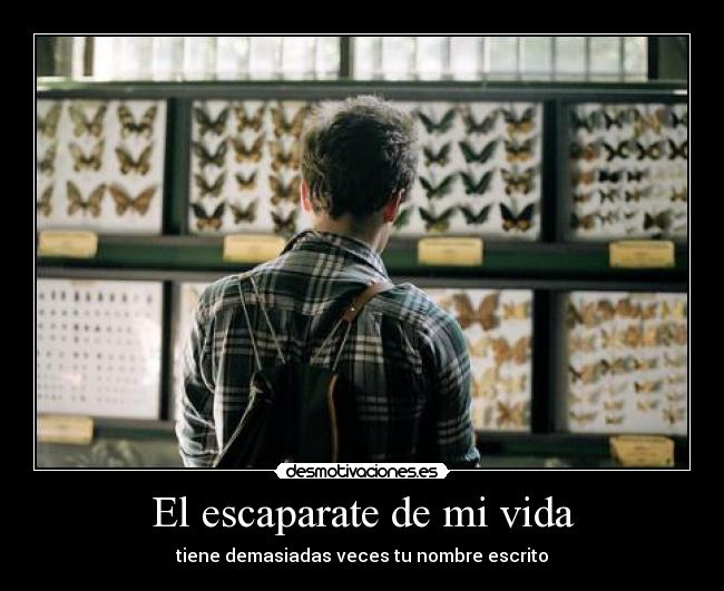 El escaparate de mi vida -