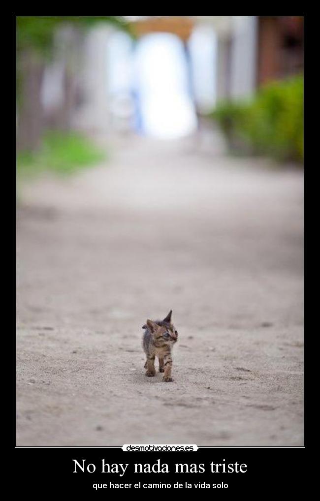 No hay nada mas triste - que hacer el camino de la vida solo