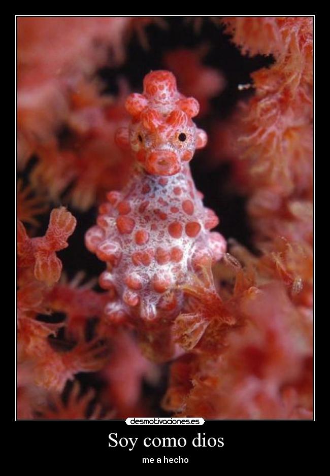 Soy como dios - 