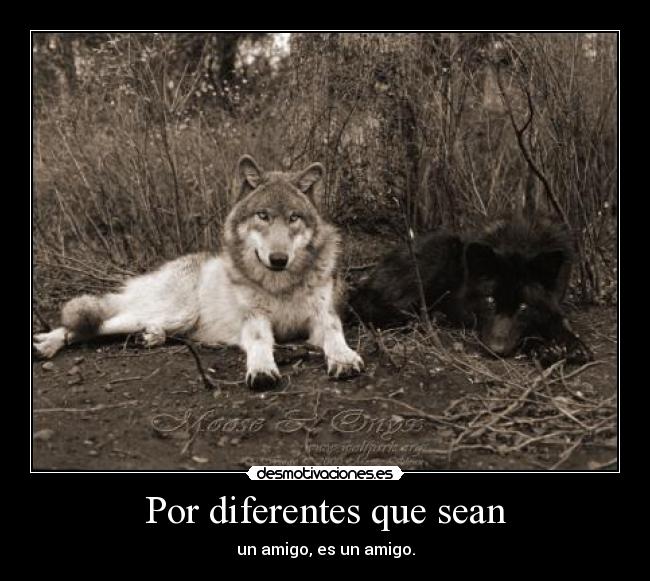 Por diferentes que sean - 
