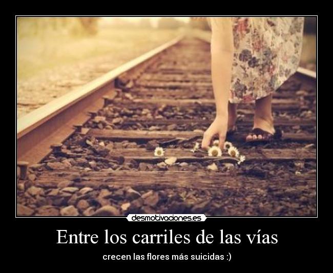 carteles mariiiiiia desmotivaciones